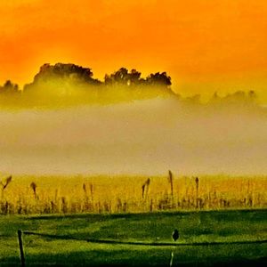 Morning view, Chicago Suburbs10/3/22